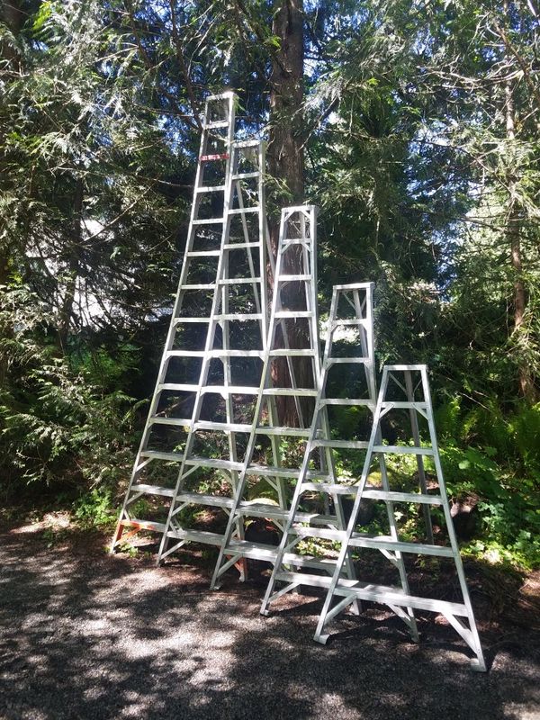 Used aluminum orchard ladders for Sale in Issaquah, WA OfferUp