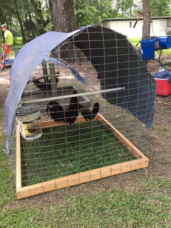 Rooster cages for Sale in Breaux Bridge, LA - OfferUp