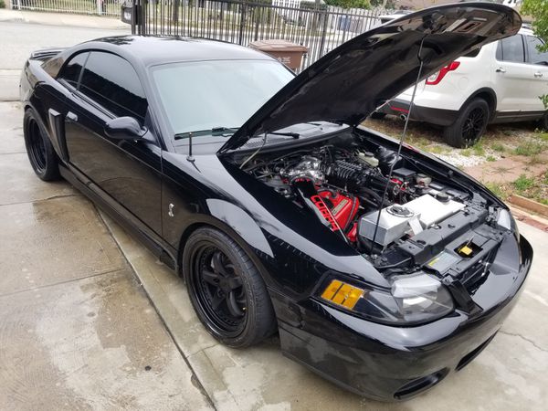 Terminator Mustang For Sale Ca