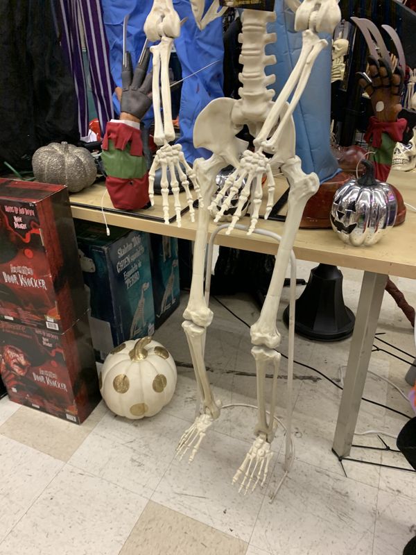 5 Ft Poseable Skeleton Halloween Decoration With Stand Or Can Be Hung ...