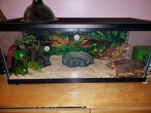 Snake Tank/ Reptile Terrarium Kit for Sale in Philadelphia, PA - OfferUp