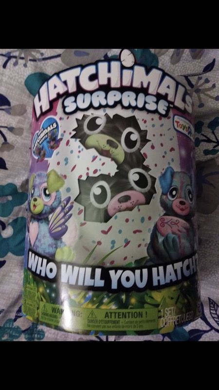 twin hatchimals