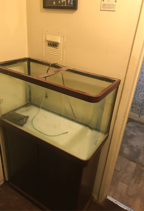 50 gallon fish /reptile tank for Sale in Covina, CA OfferUp