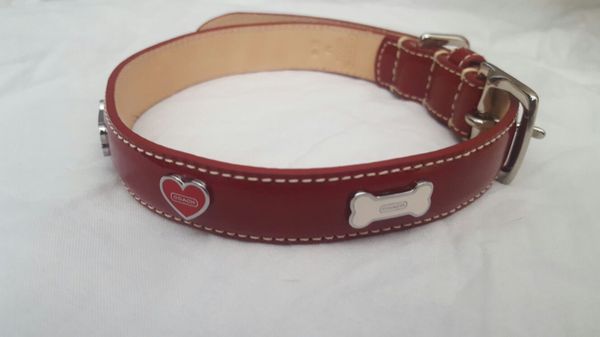 coach dog collar medium