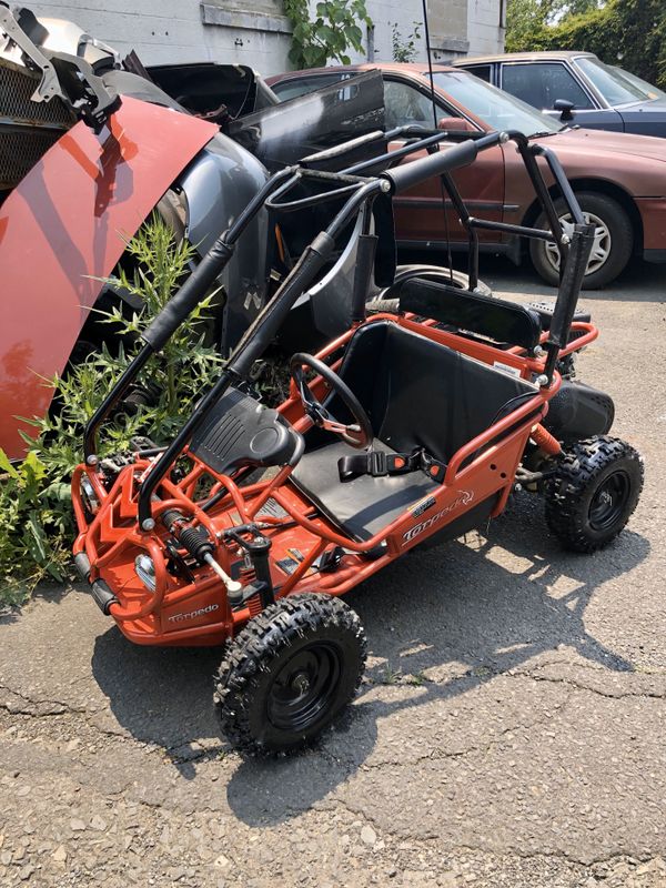 Hammerhead Go Kart for Sale in Hamilton Township, NJ OfferUp