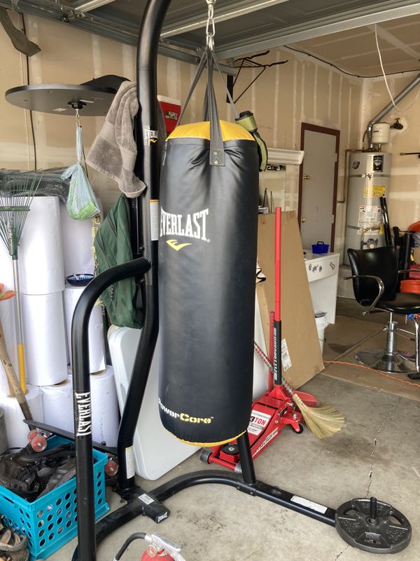 Everlast Punching Bag And Speed Bag Set