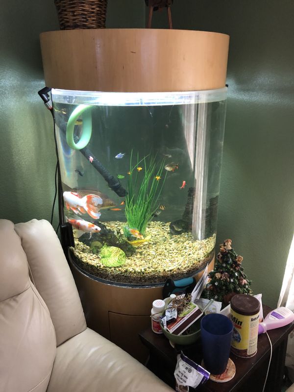 Tenecor Cylinder Tank 80 gallons NO FISH for Sale in Rancho Cordova, CA