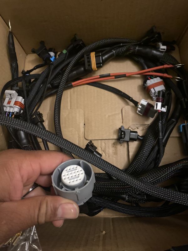 Ls swap plug and play engine harness Ls1 ls2 ls3 ls7 LSX 4l60e 4l80e 4.