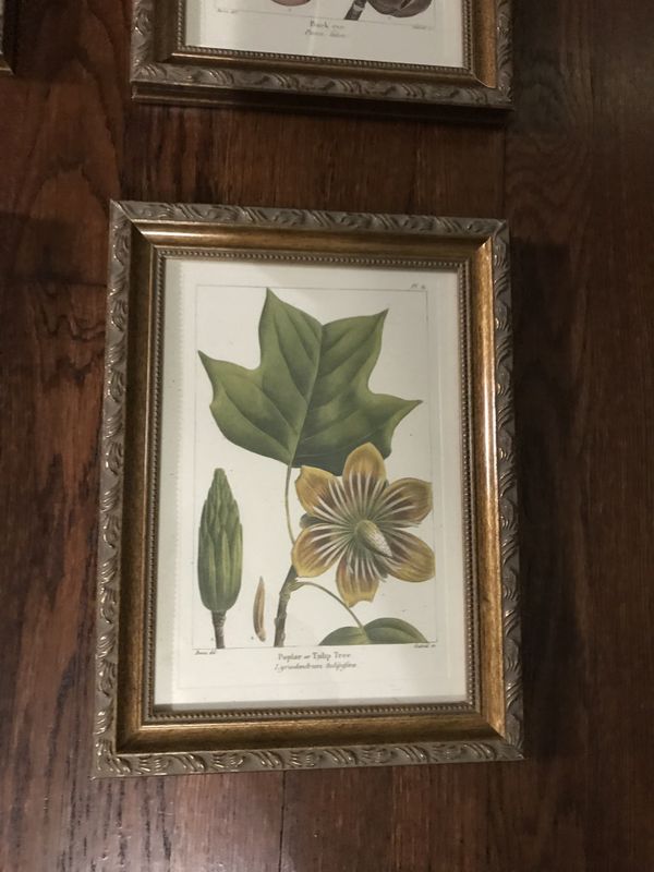 Bombay & Co framed art prints gold guided frame for Sale in San Antonio