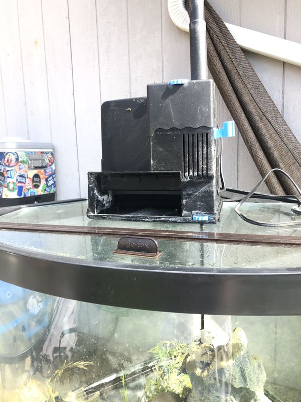 Aqueon 54 gallon Corner Aquarium for Sale in Puyallup, WA - OfferUp