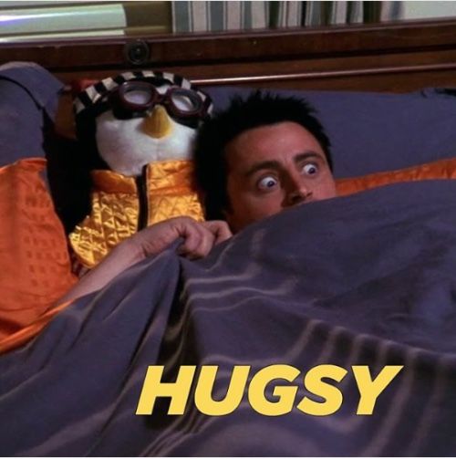 joey's penguin in friends