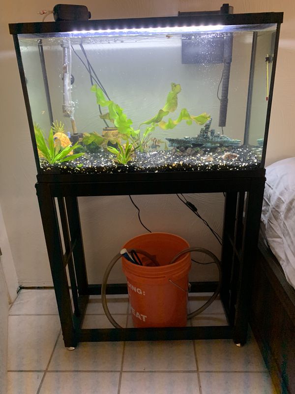 29 Gallon Fish tank and Stand for Sale in Tucson, AZ OfferUp