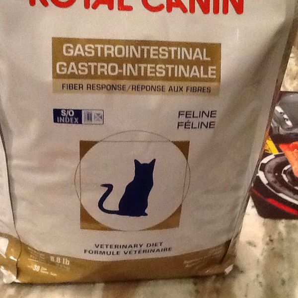 Royal Canin Gastrointestinal cat food 8.8 lb bag for Sale in Lansdale