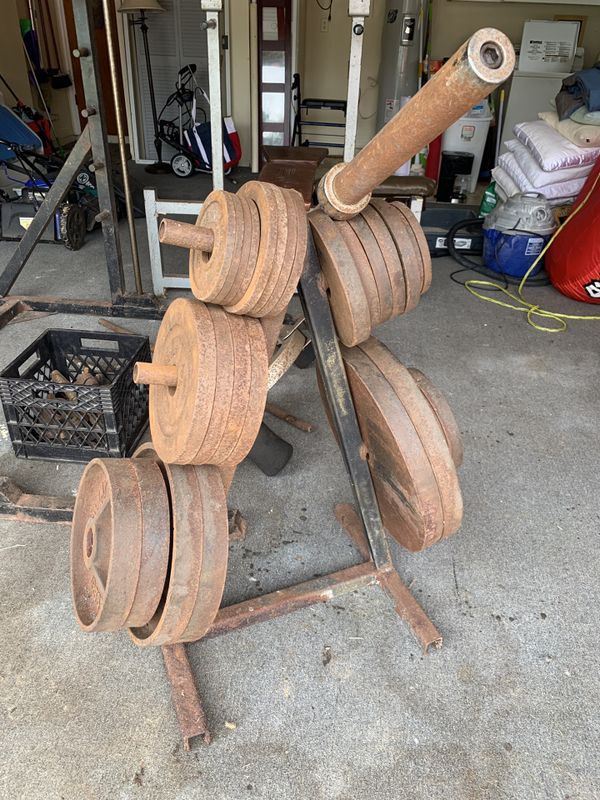 368 lbs of free weights for Sale in Inverness, FL OfferUp