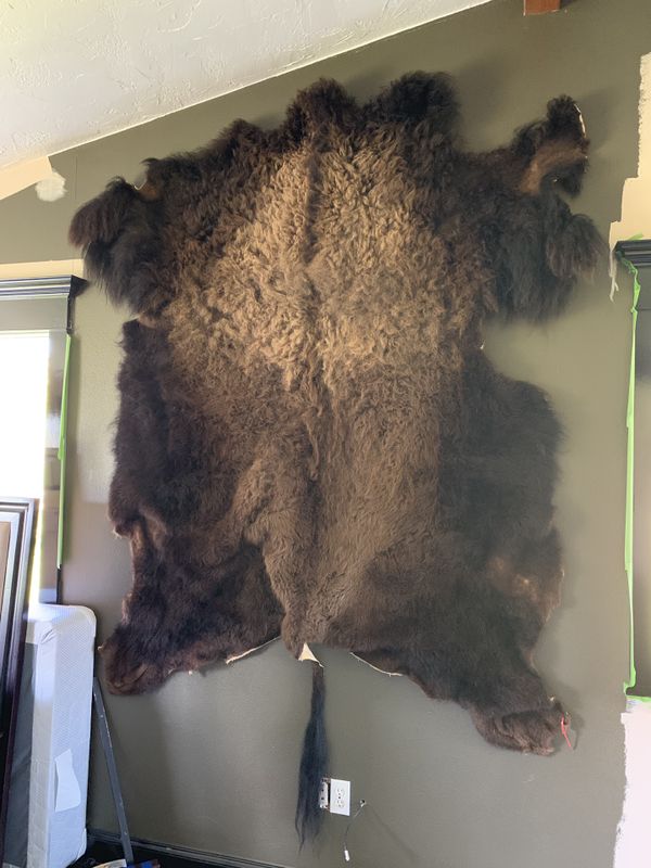 Buffalo Hide for Sale in Vancouver, WA OfferUp