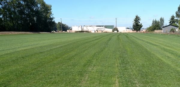 Grass, Sod, turf for Sale in Arlington, WA OfferUp