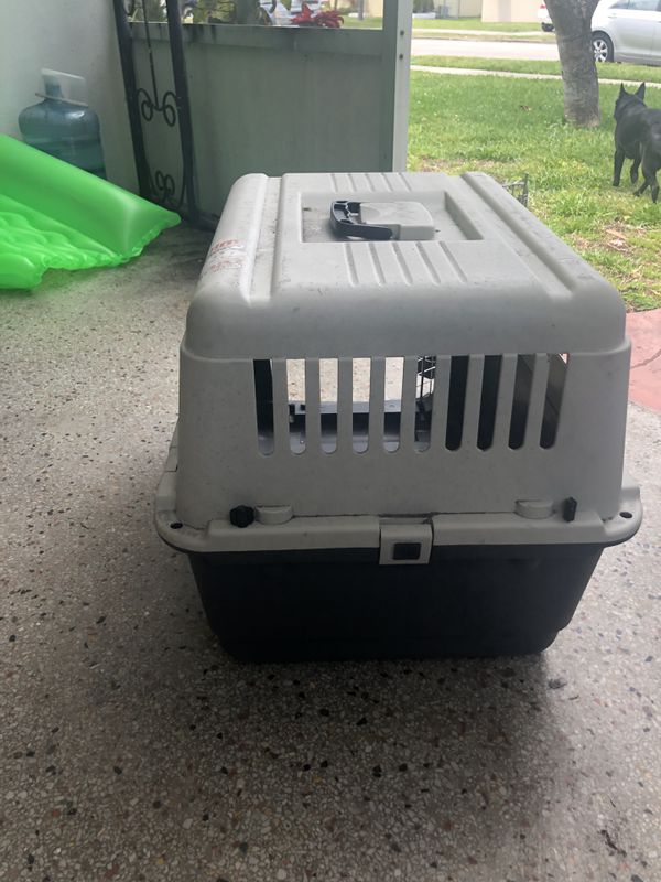 Dog kennels for airplane travel for Sale in Fort Lauderdale, FL OfferUp