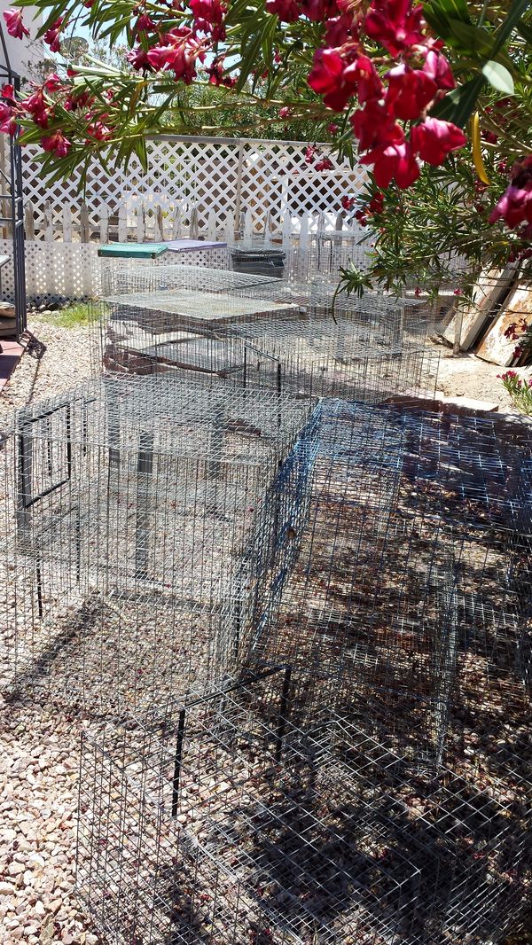 LARGE BASS RABBIT CAGES! for Sale in Las Vegas, NV OfferUp