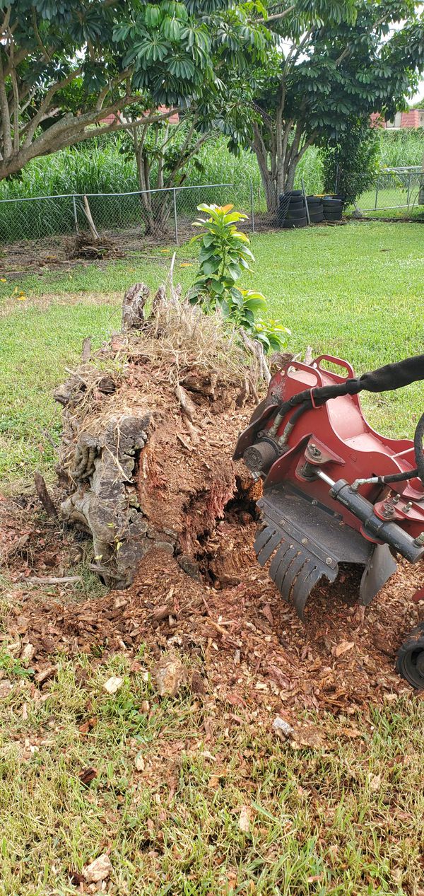 Stump removal maitland, Quincy FL