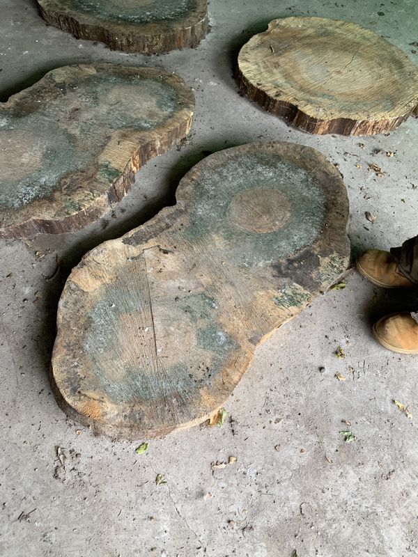 Round Wood Slabs with live edge for Sale in Old Mill Creek, IL - OfferUp