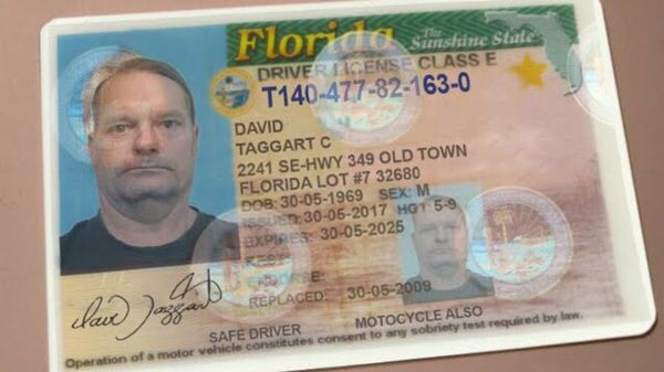 florida id template florida fake drivers license