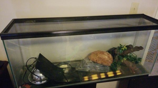 40 gallon reptile tank for Sale in Newport News, VA - OfferUp