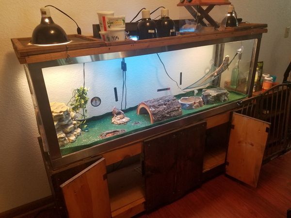 120 gallon bearded dragon tank for Sale in Graham, WA - OfferUp