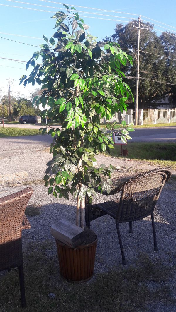 Tall artificial plant for Sale in Houston, TX - OfferUp