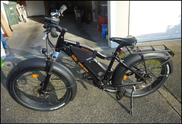 rad rover ebike review