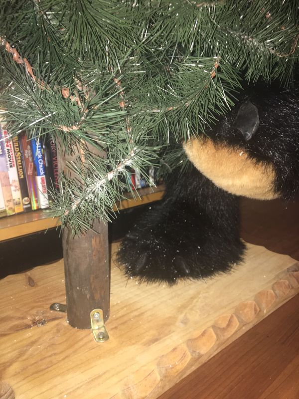 dan dee bear with christmas tree