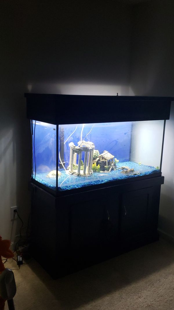 90 gallon fish tank