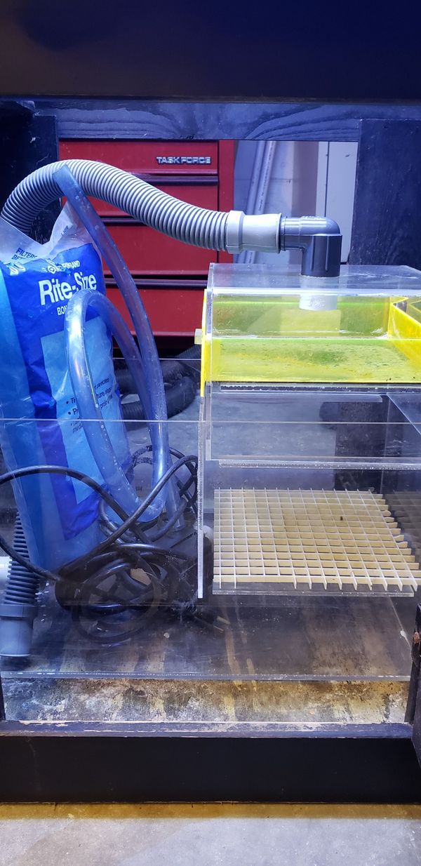 75 Gallon Pre Drilled Aquarium for Sale in Brandon, FL - OfferUp