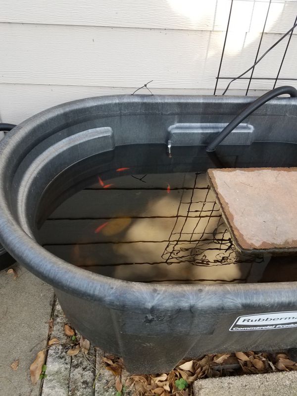 Pond complete filter heater stock tank for Sale in Katy 
