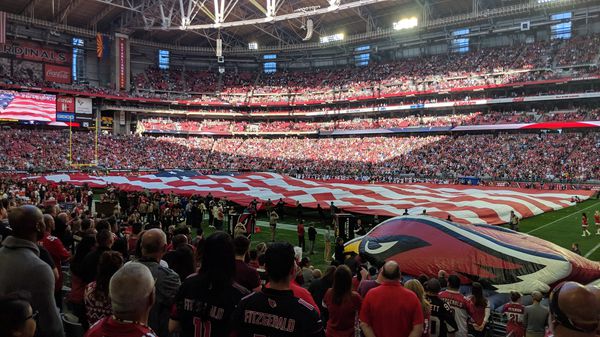 Arizona Cardinals vs Pittsburgh Steelers Lower Level Seats Row 13 Section 103 Great Views Two ...