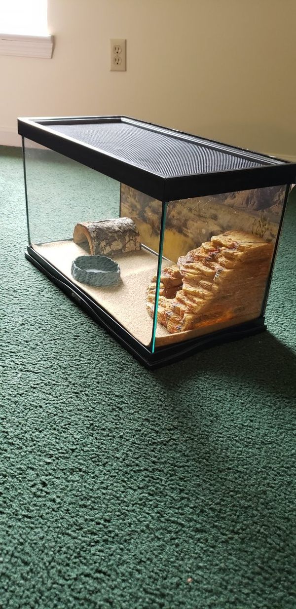 Reptile terrarium 10 gal for Sale in Honey Brook, PA OfferUp
