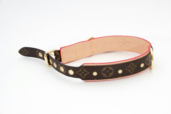 louis vuitton baxter collar
