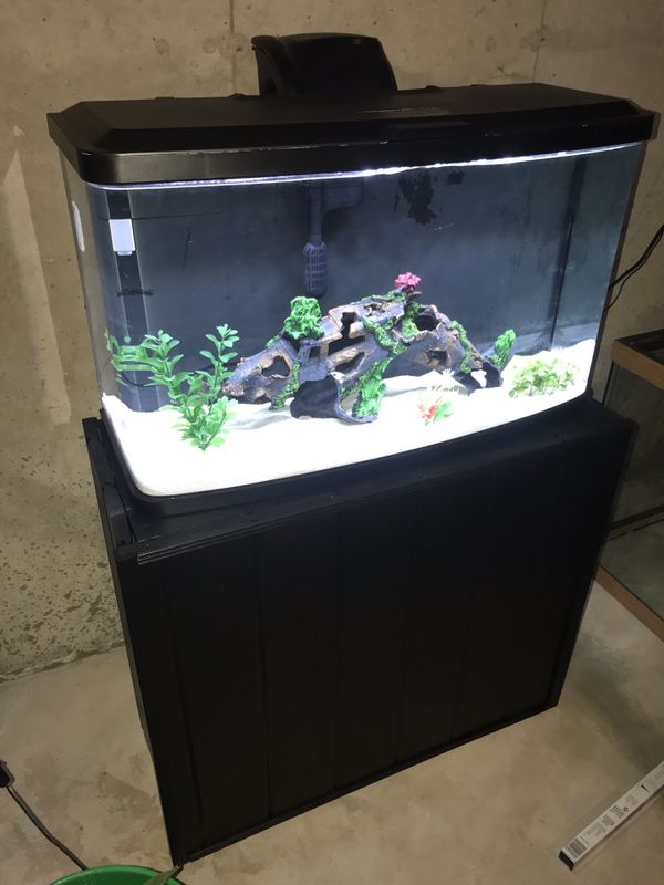 23 gallon curve front fluval vista Fish tank/aquarium and stand for ...