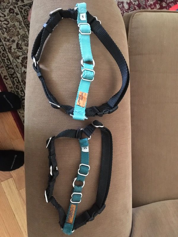 wonder-walker-dog-harness-s-for-sale-in-bellevue-wa-offerup