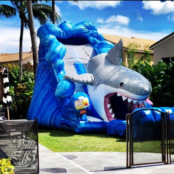 shark park water slide