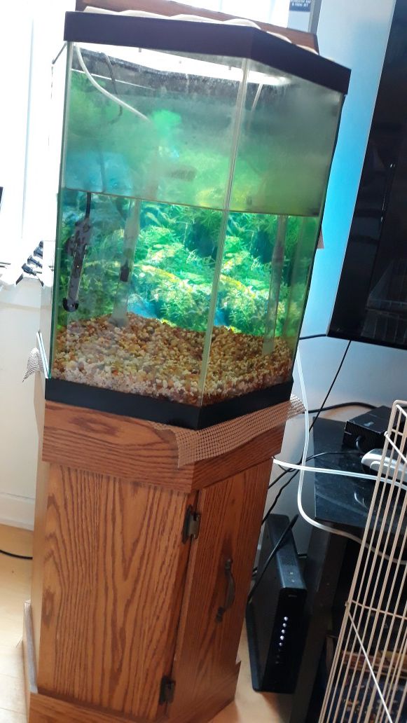 Hexagon fish tank with stand for Sale in Philadelphia, PA