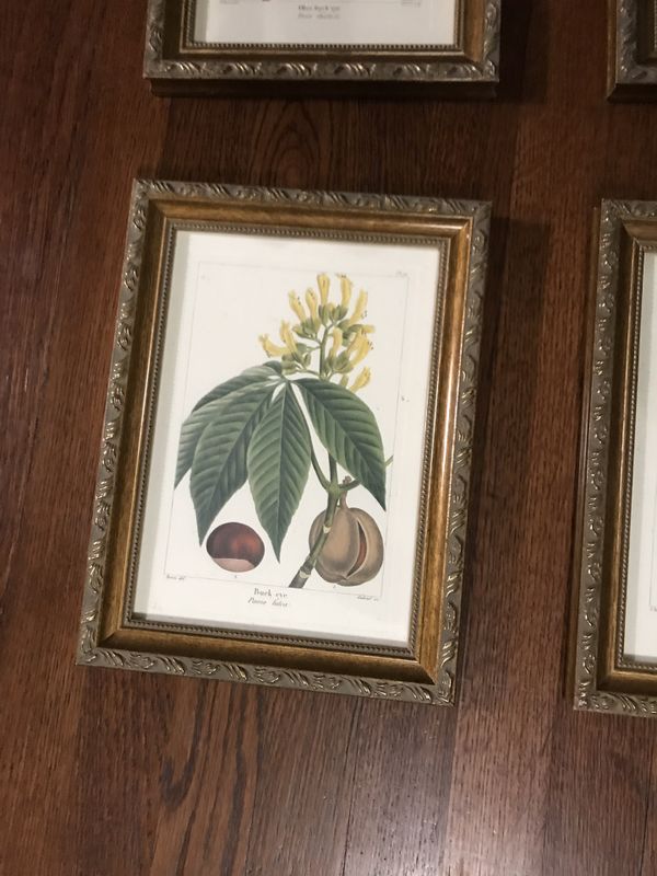 Bombay & Co framed art prints gold guided frame for Sale in San Antonio, TX OfferUp