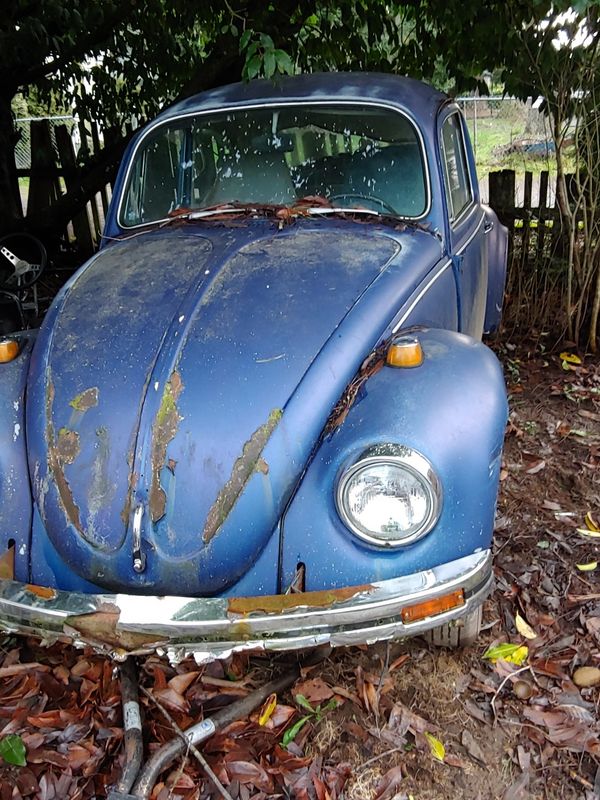 68 VW BEETLE for Sale in WA OfferUp