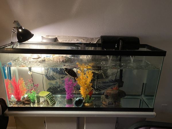 50+ gallon fish tank/ aquarium and stand for Sale in Portland, OR - OfferUp