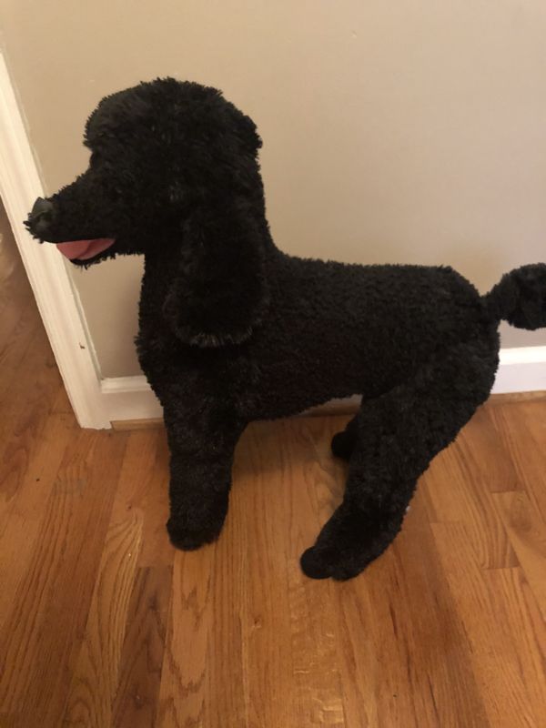 melissa and doug standard poodle