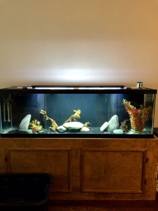 125 Gallon Aqueon MegaFlow Aquarium for Sale in Spring, TX - OfferUp