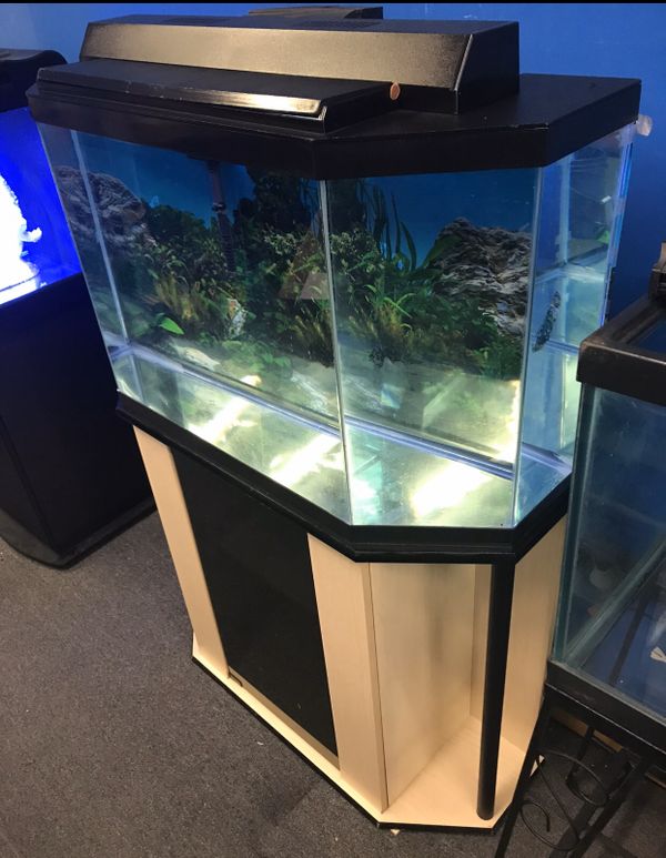 35 gallon Flatback half Hexagon Aquarium fish tank complete $200 for