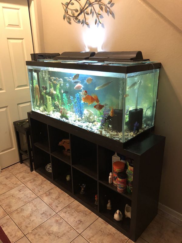 110 Gallon Fish Tank for Sale in Mesa, AZ - OfferUp