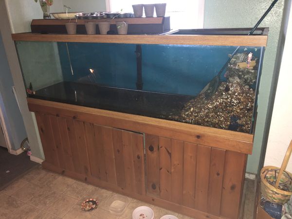 175 gallon fish tank for Sale in Rochester, WA - OfferUp