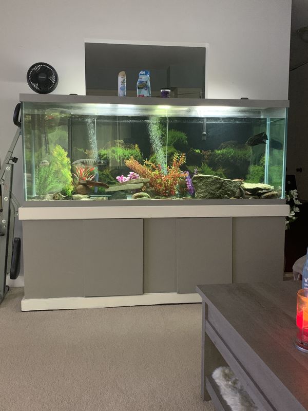 150 gallon fresh water Fish Tank for Sale in Downers Grove, IL OfferUp