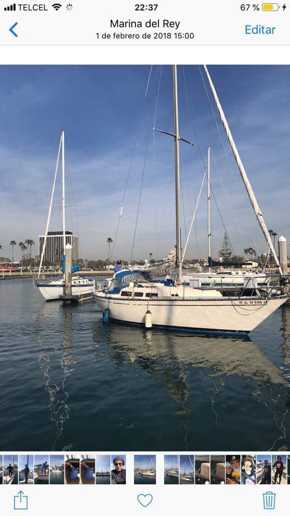 31 foot sailboat for sale